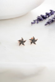 Heliophilia Silver Pendientes de Plata de Ley 925 Negros Stud NRZ99417